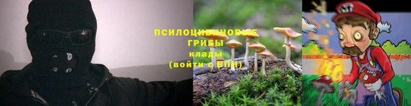 метадон Белокуриха