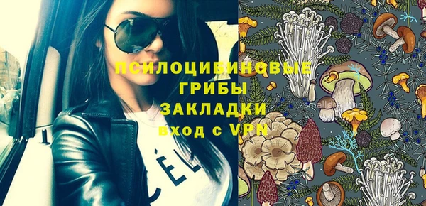 метадон Белокуриха