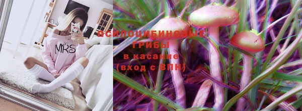 метадон Белокуриха