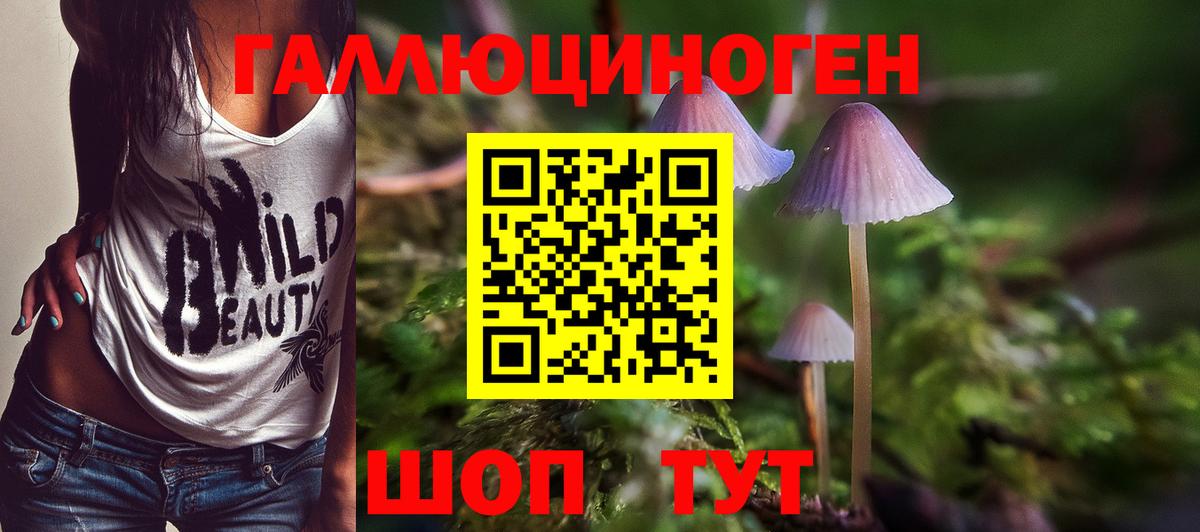 Малоярославец  Псилоцибиновые грибы Psilocybine cubensis  Вход с VPN 